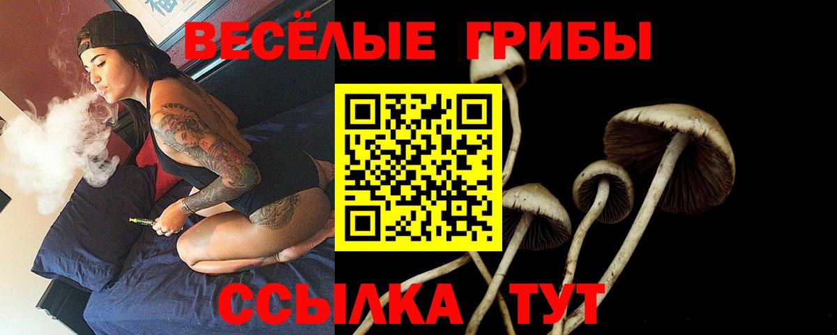 Горячий Ключ  Псилоцибиновые грибы мухоморы  Вход с VPN 